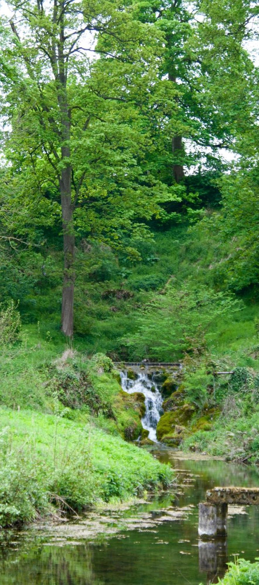 Oak Tree Cottage Stoke Rochford Екстериор снимка