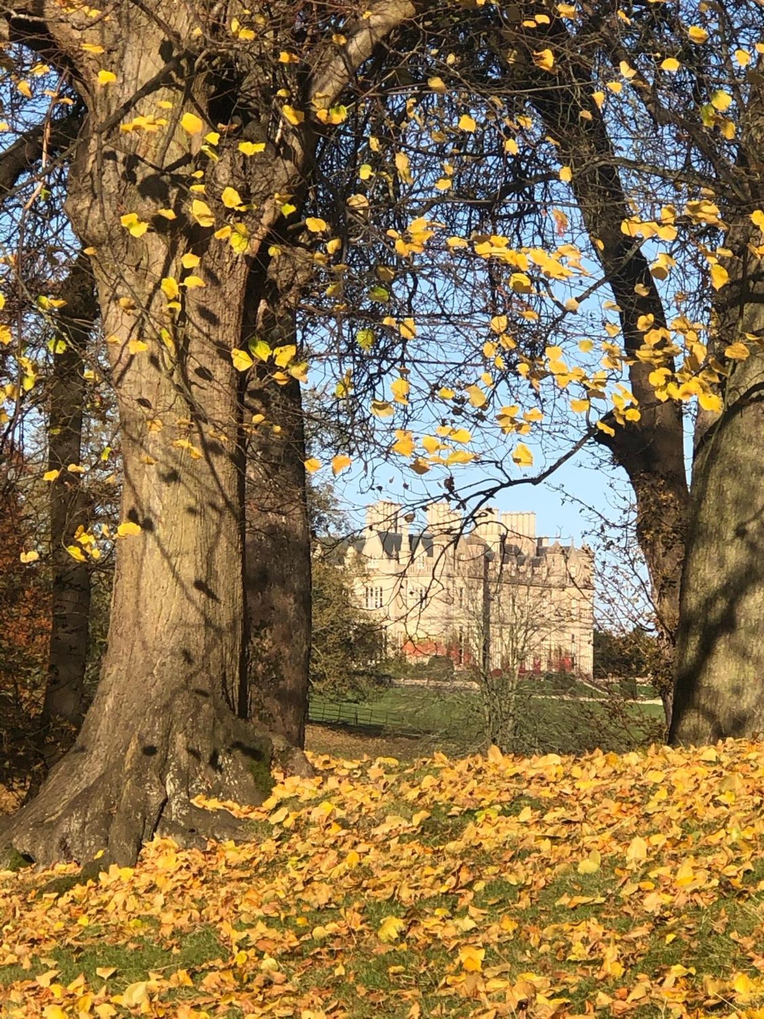 Oak Tree Cottage Stoke Rochford Екстериор снимка